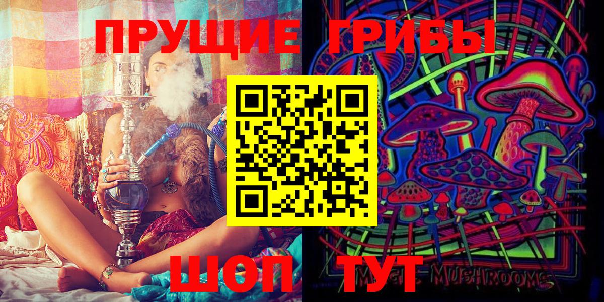 Псилоцибиновые грибы Magic Shrooms  Вход с VPN  Чебоксары  Псилоцибиновые грибы GOLDEN TEACHER 
